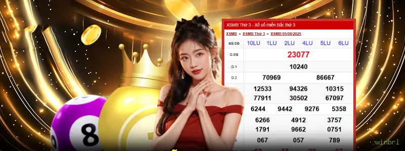 Programa VIP winbrl - benefícios exclusivos